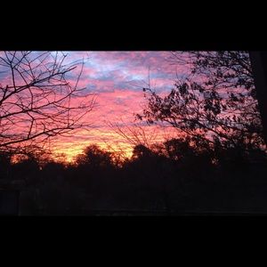 Meet your Posher, Lee